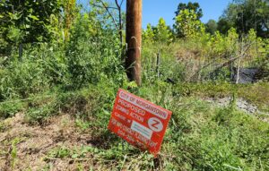 Hartman Run townhome development clears city planning commission